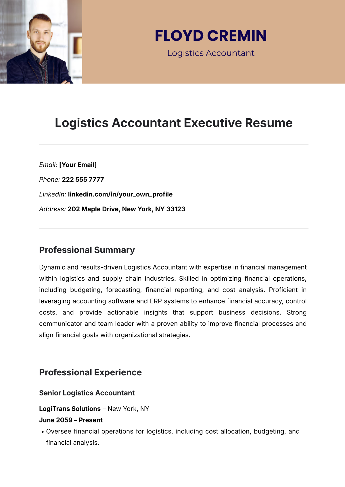 Logistics Accountant Executive Resume Template - Edit Online & Download