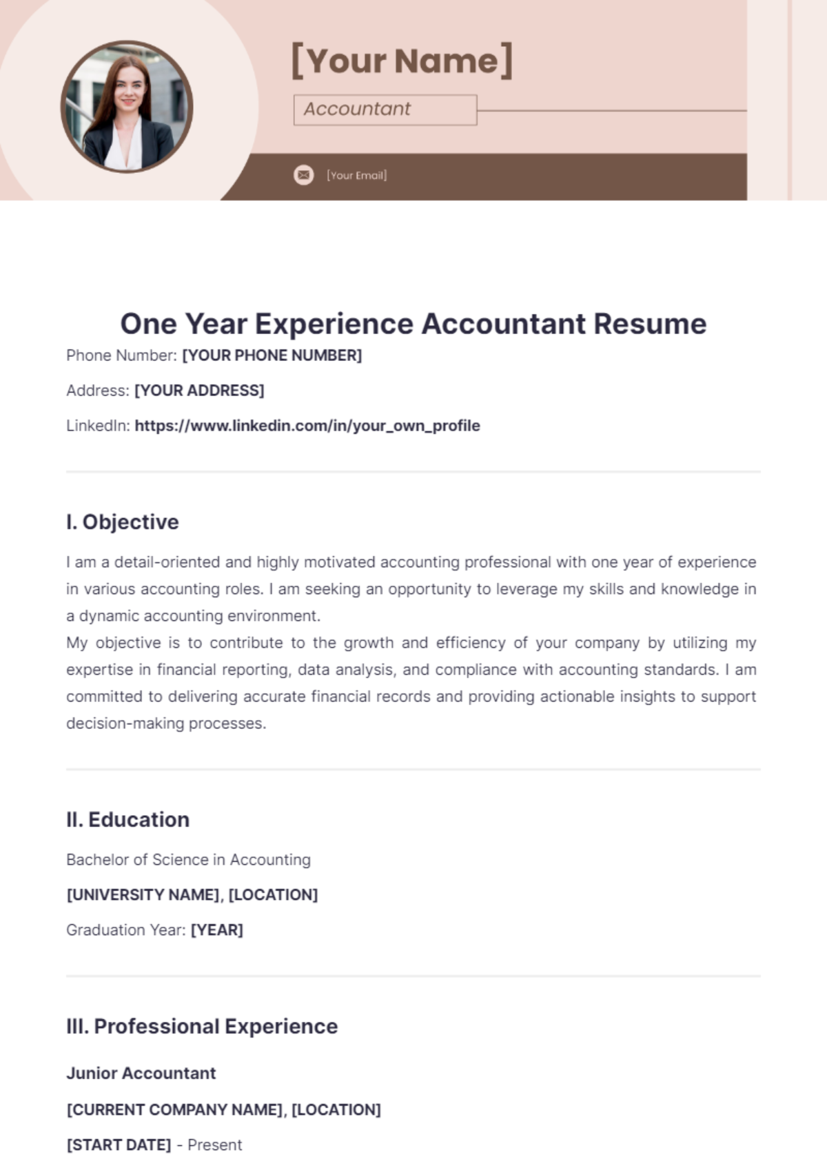 One Year Experience Accountant Resume - Edit Online & Download