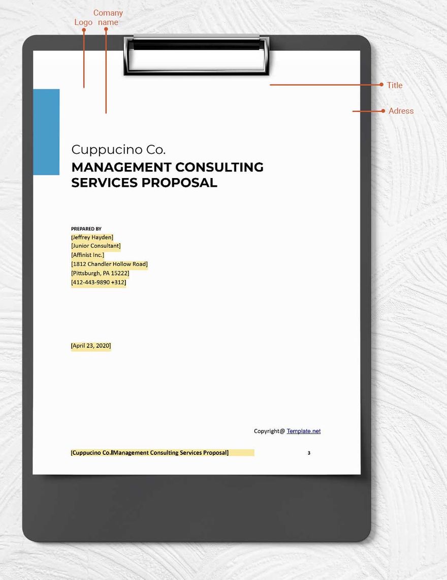 Simple Consulting Proposal Template