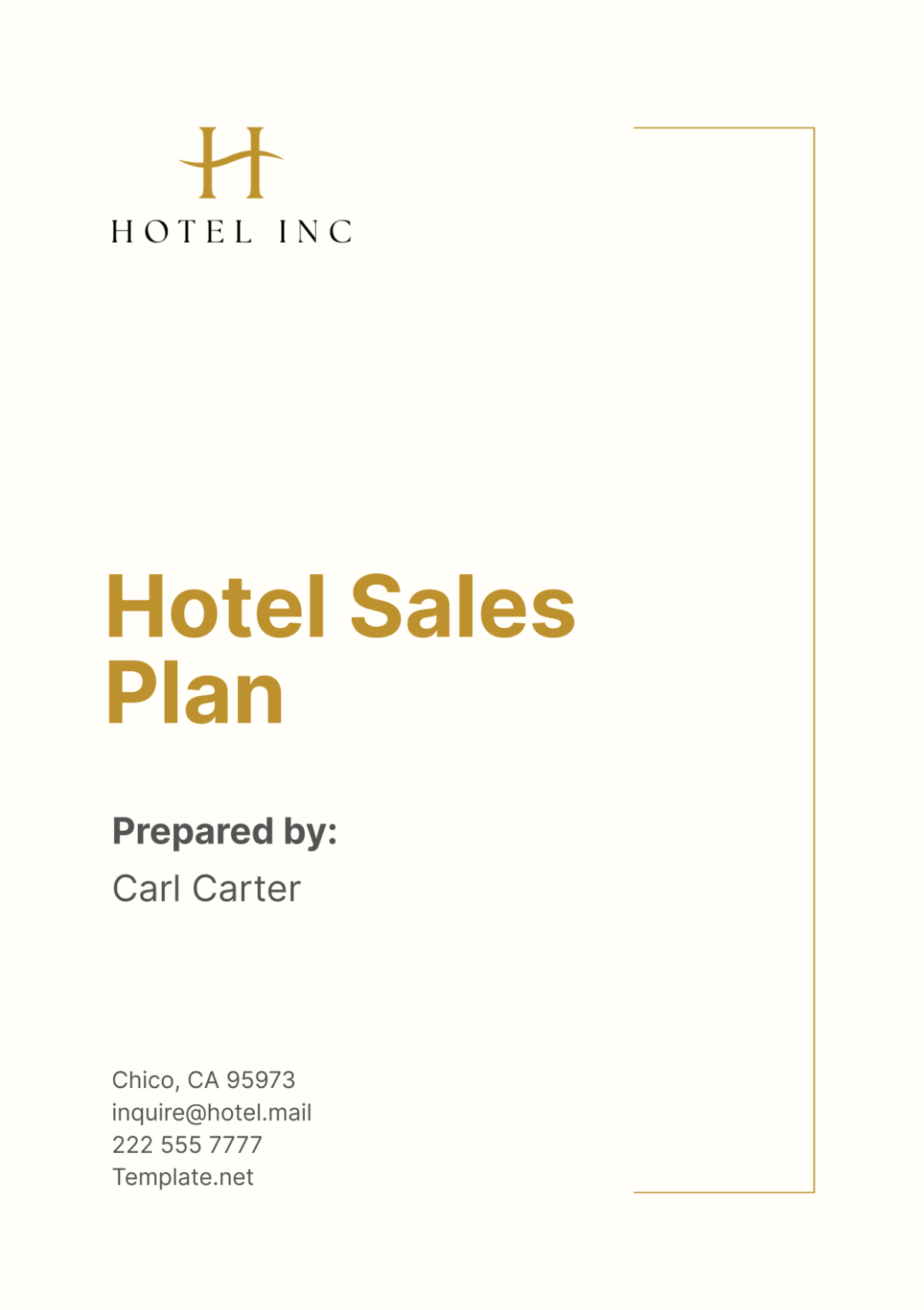 Hotel Sales Plan Template - Edit Online & Download