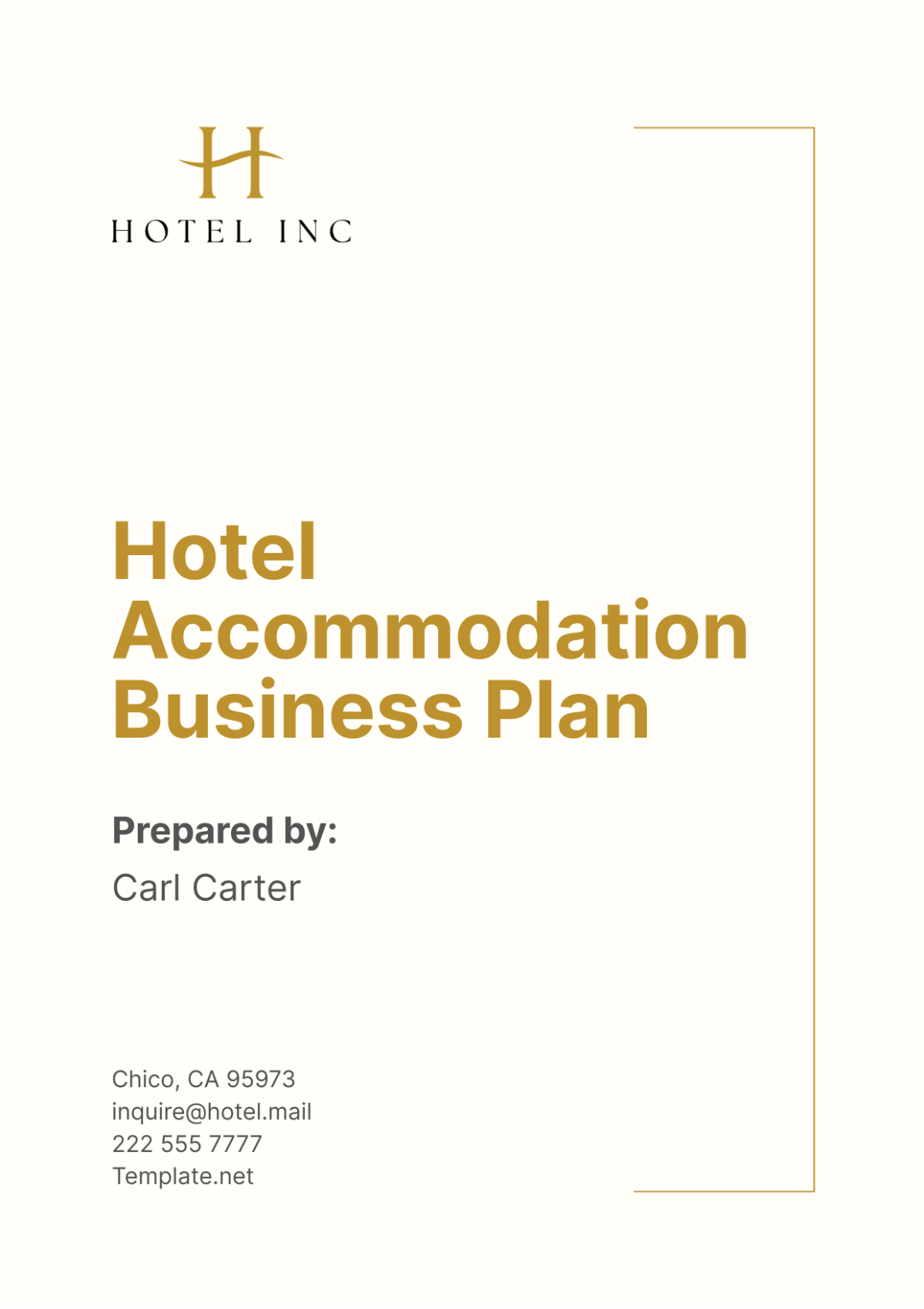 Hotel Accommodation Business Plan Template - Edit Online & Download