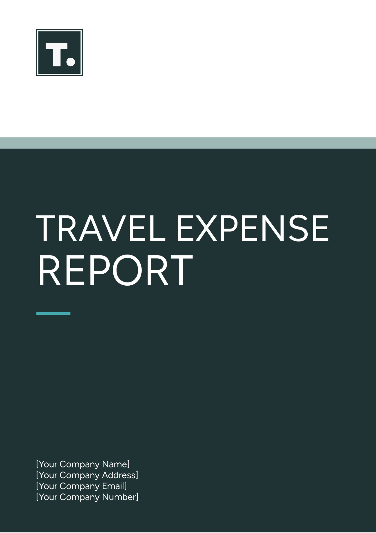 Travel Expense Report Template - Edit Online & Download