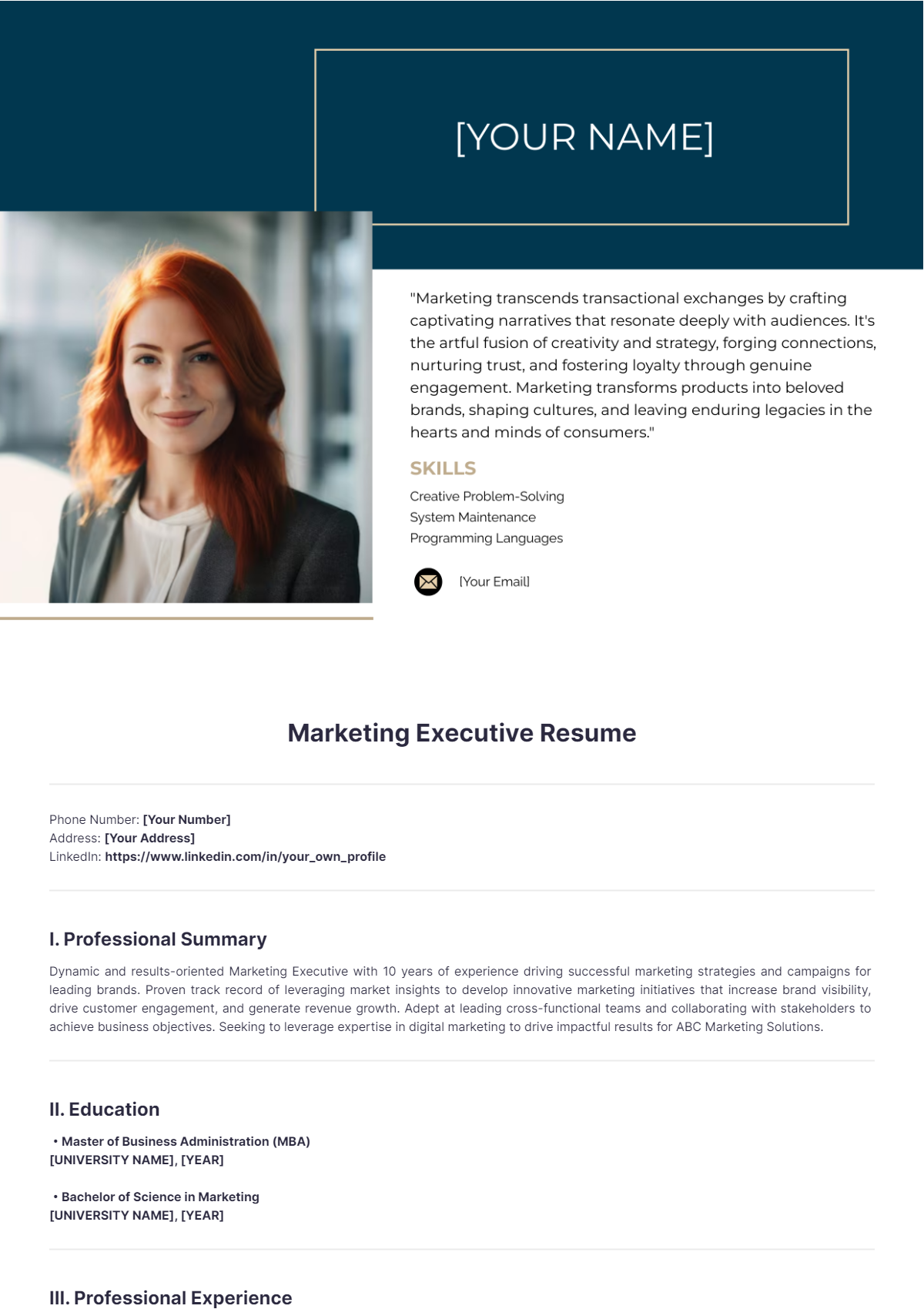 Marketing Executive Resume - Edit Online & Download