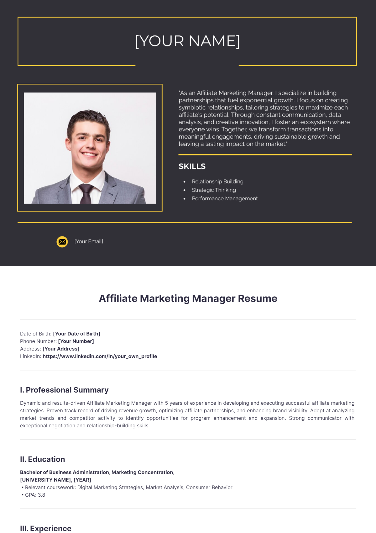 Affiliate Marketing Manager Resume - Edit Online & Download