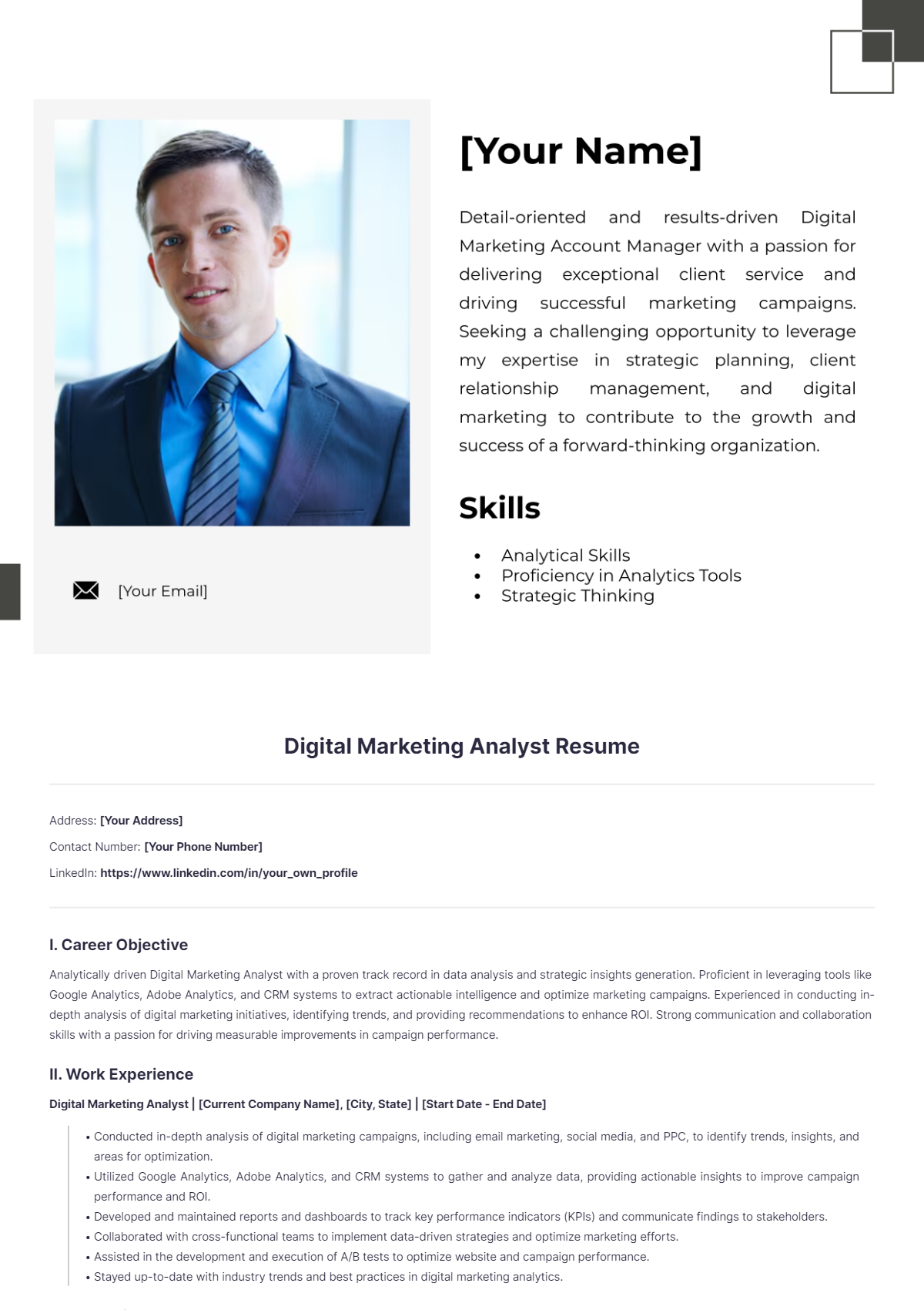 Digital Marketing Analyst Resume - Edit Online & Download