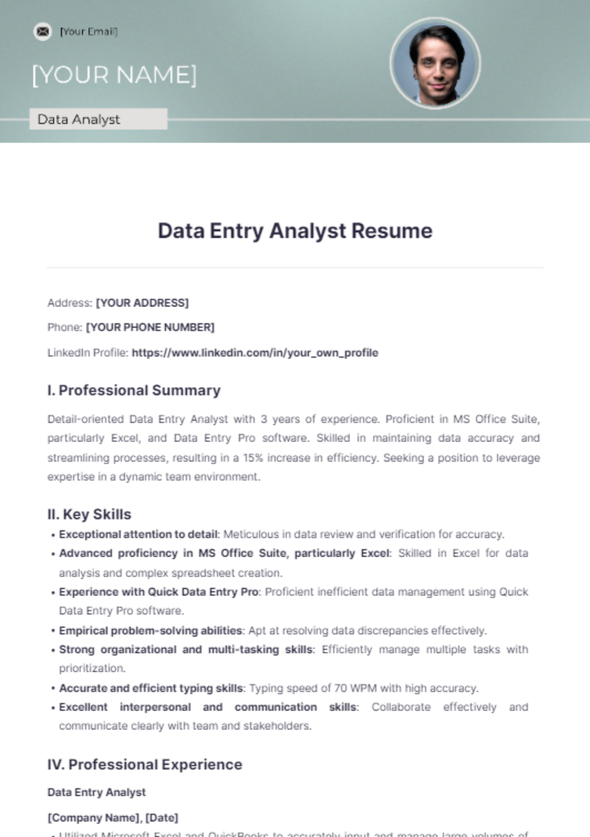 Data Entry Analyst Resume - Edit Online & Download