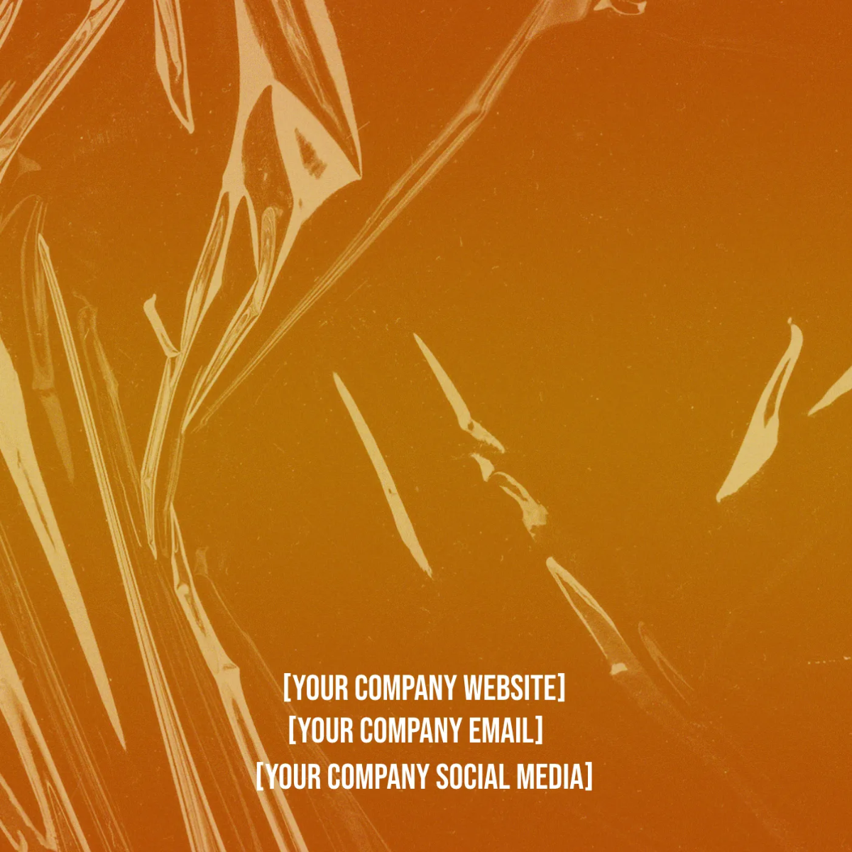 Free Blonde Album Cover Template to Edit Online