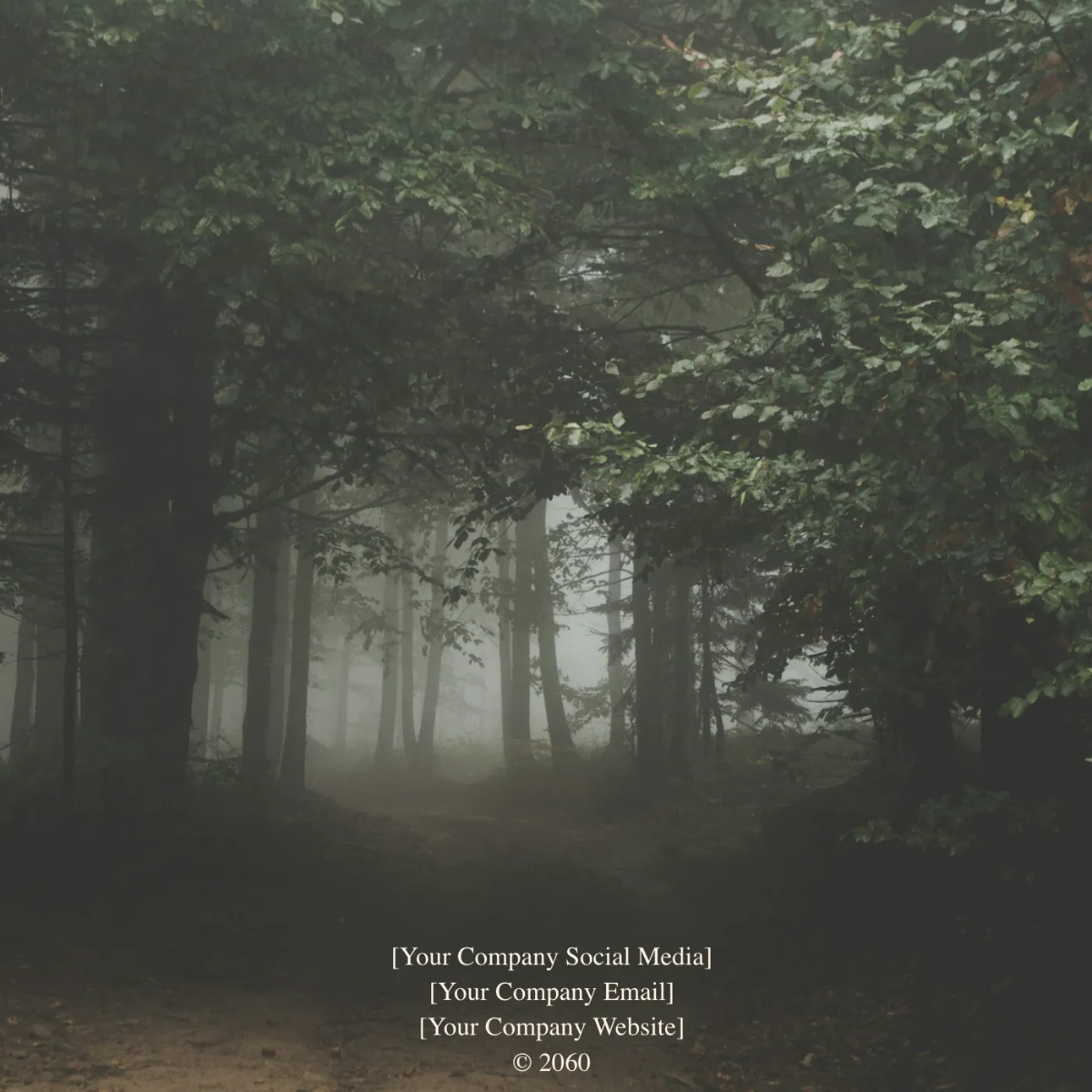 Free Folklore Album Cover Template to Edit Online