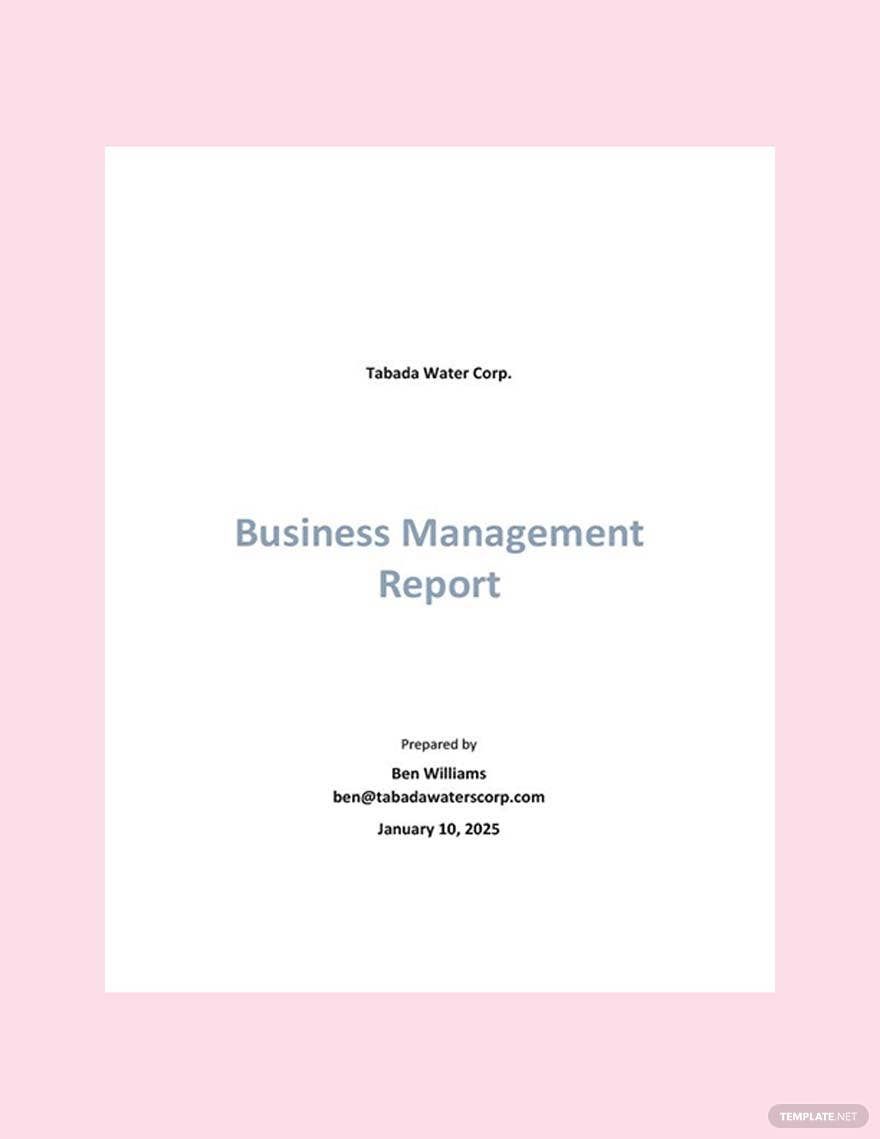 Sample Business Management Report Template