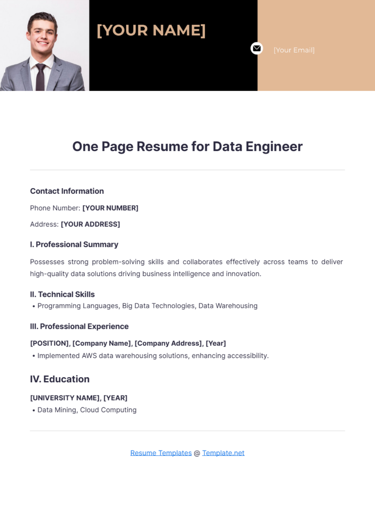 One Page Resume for Data Engineer - Edit Online & Download Example ...