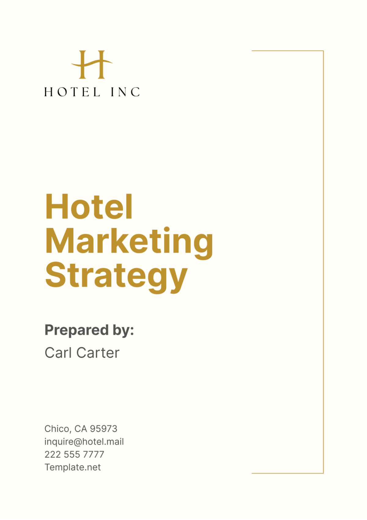 Hotel Marketing Strategy Template - Edit Online & Download