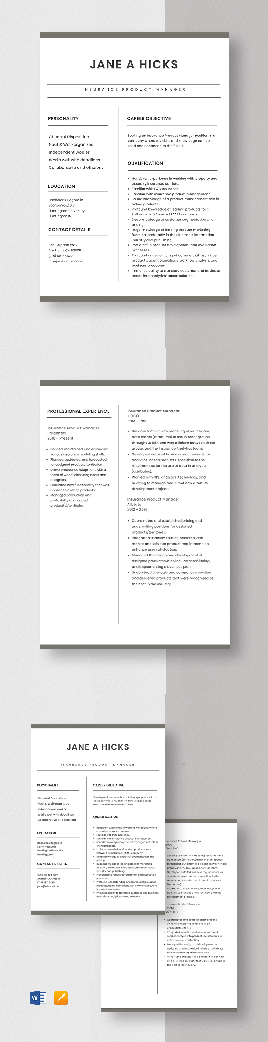 insurance-product-manager-resume-template-word-apple-pages