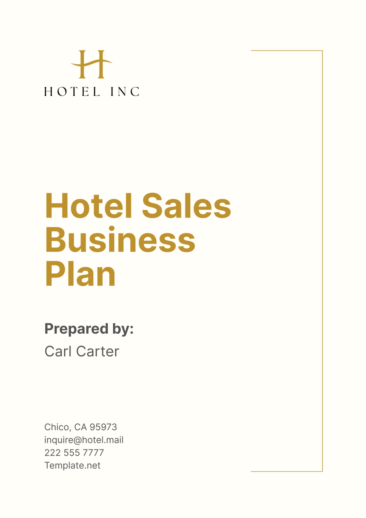 Hotel Sales Business Plan Template - Edit Online & Download