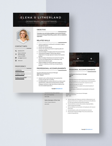InsurancePersonal Lines Account Manager Resume Download