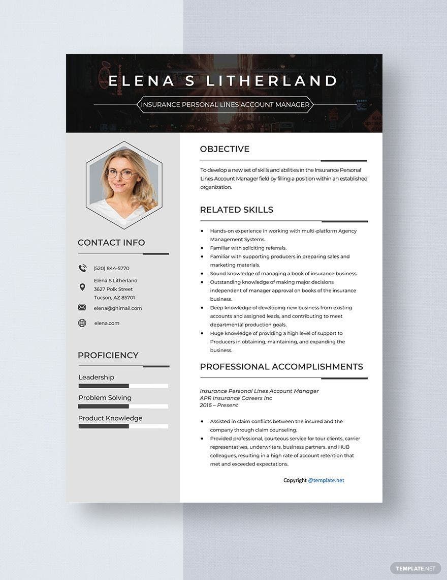 Insurance Personal Lines Account Manager Resume