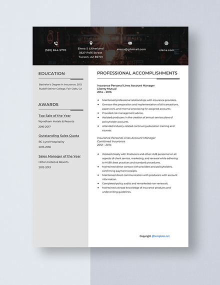 Insurance Personal Lines Account ManagerResumeTemplate