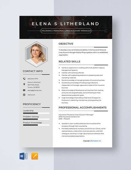 Insurance Personal Lines Account ManagerResume
