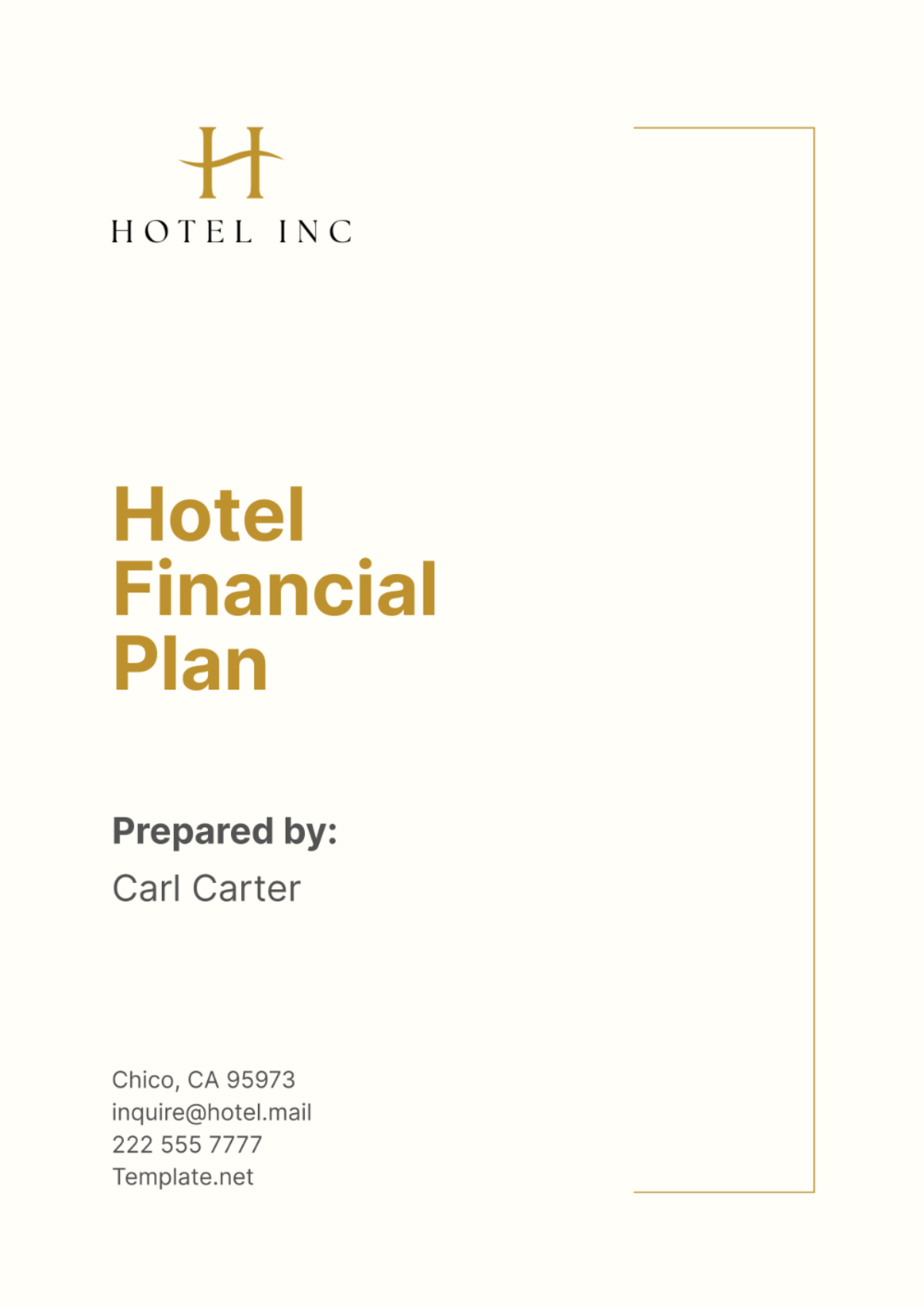 Hotel Financial Plan Template - Edit Online & Download