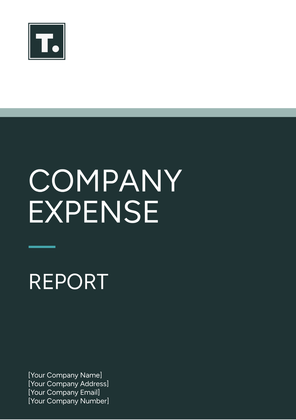 Company Expense Report Template - Edit Online & Download