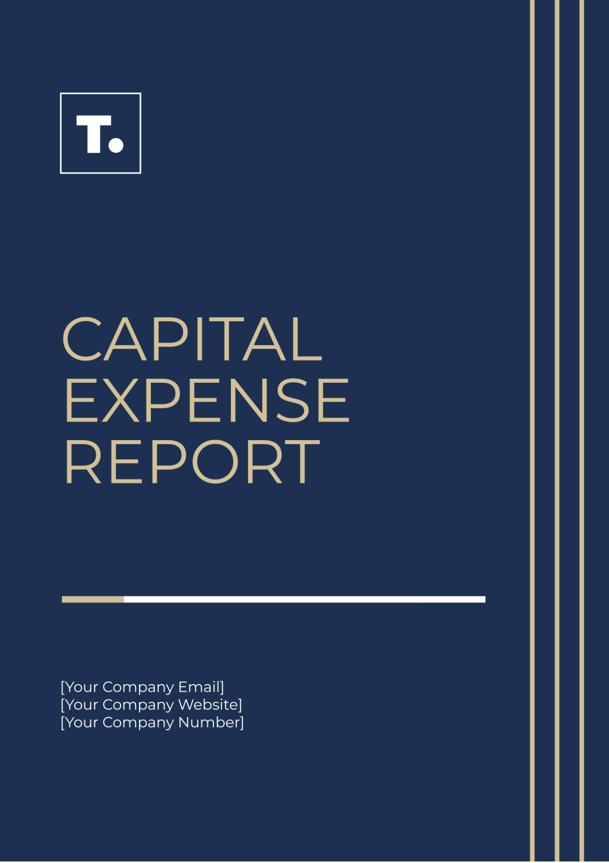 Capital Expense Report Template - Edit Online & Download