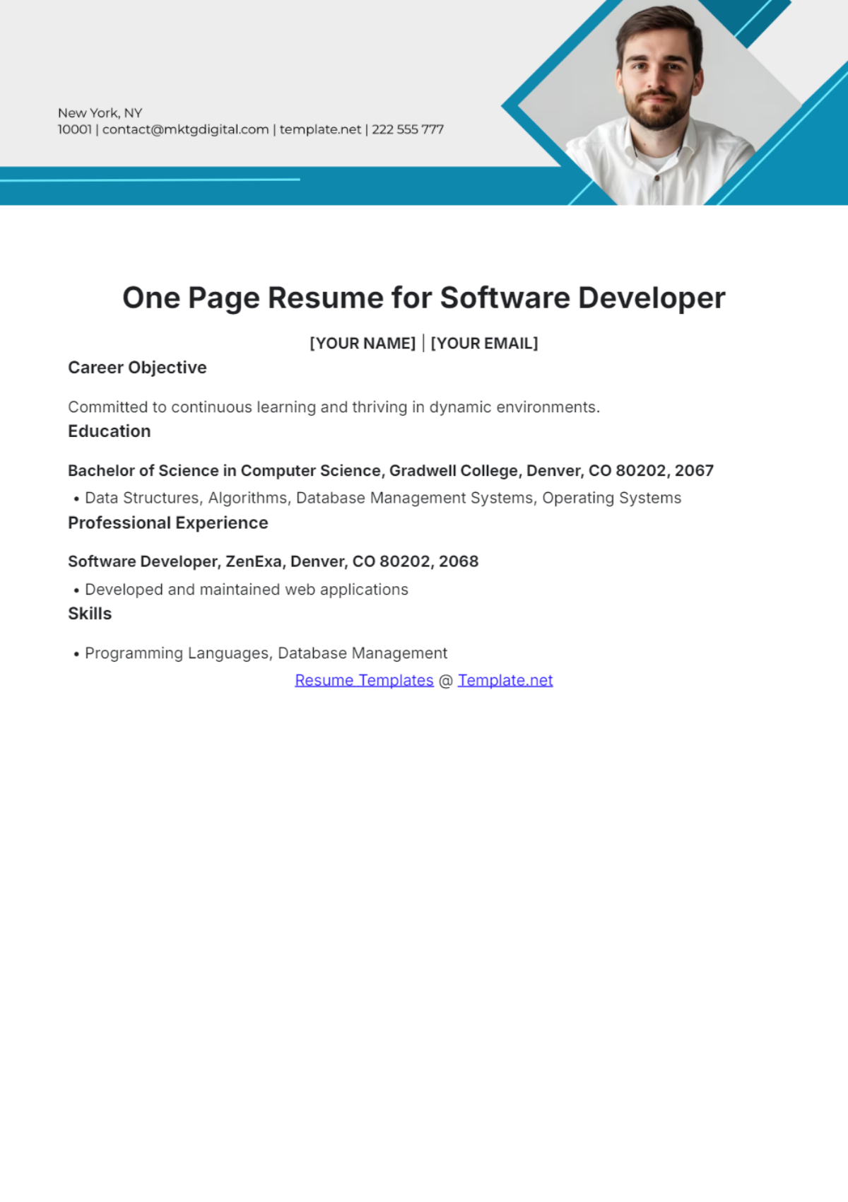 One Page Resume for Software Developer - Edit Online & Download