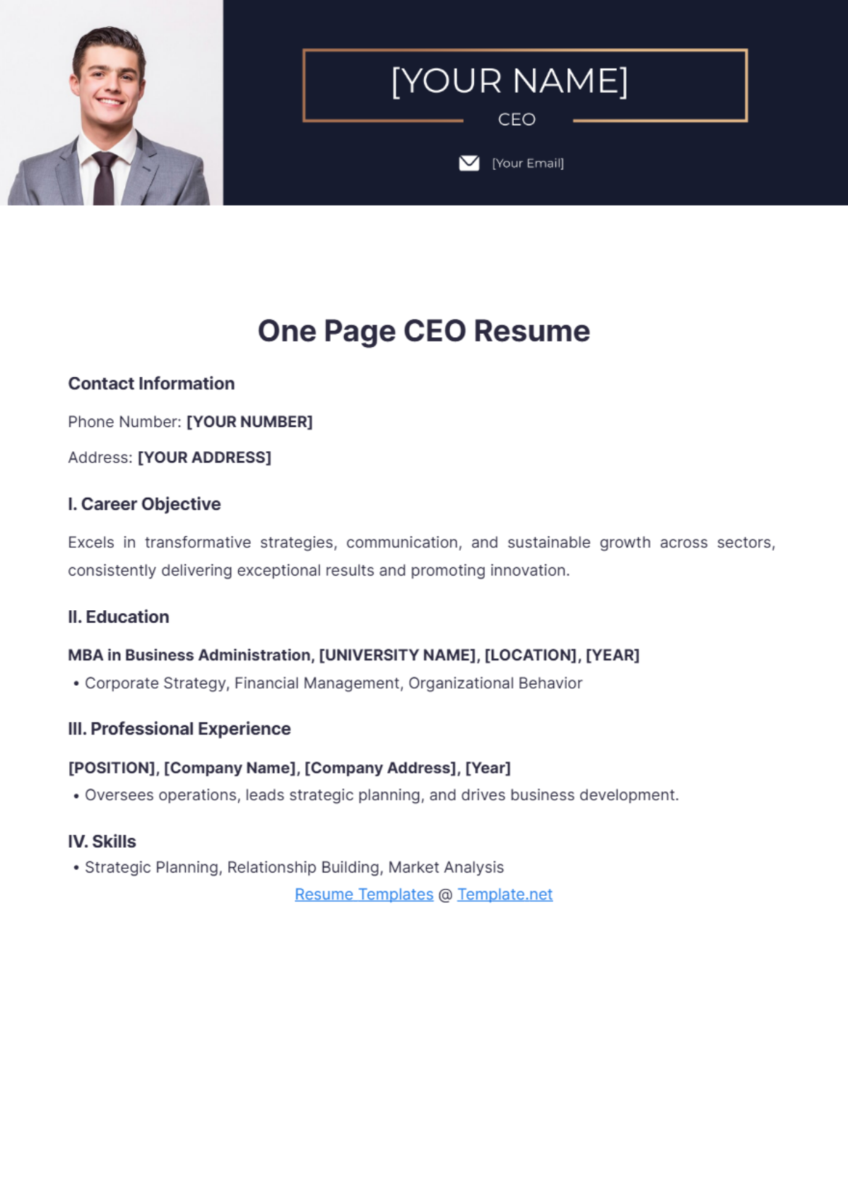 One Page CEO Resume - Edit Online & Download Example | Template.net