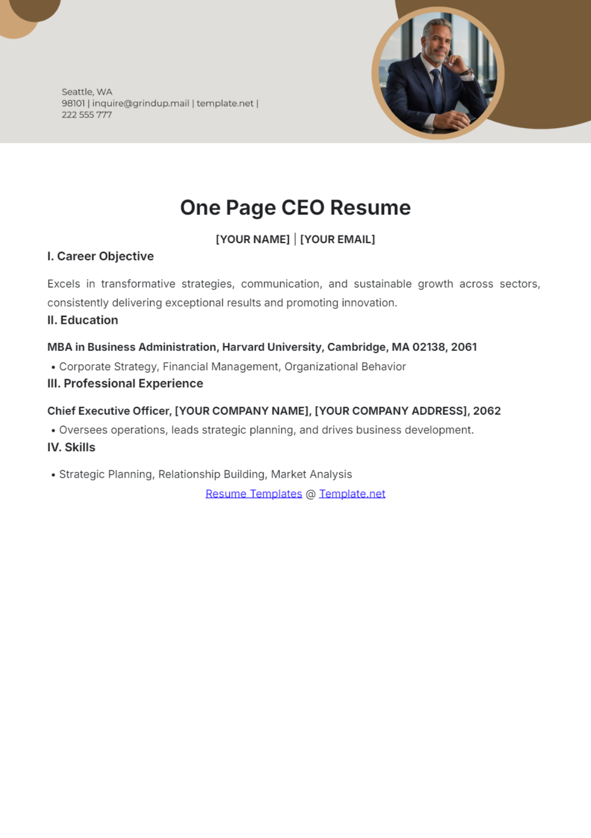 Free One Page CEO Resume Template - Edit Online & Download | Template.net