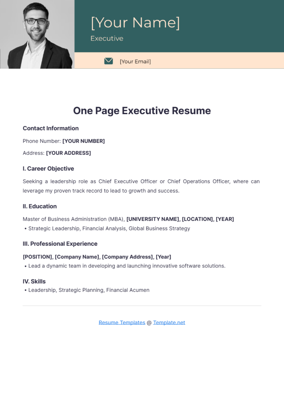 One Page Executive Resume - Edit Online & Download Example | Template.net