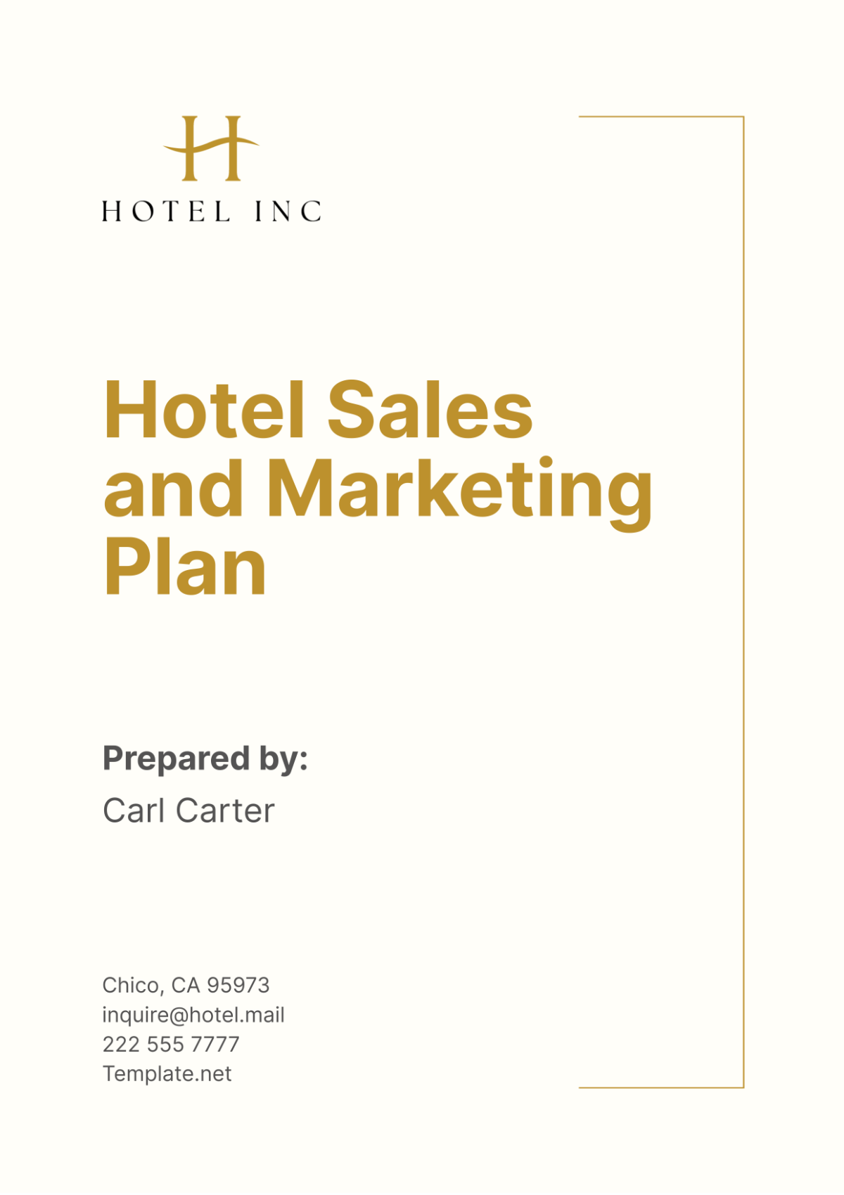 Hotel Sales and Marketing Plan Template - Edit Online & Download