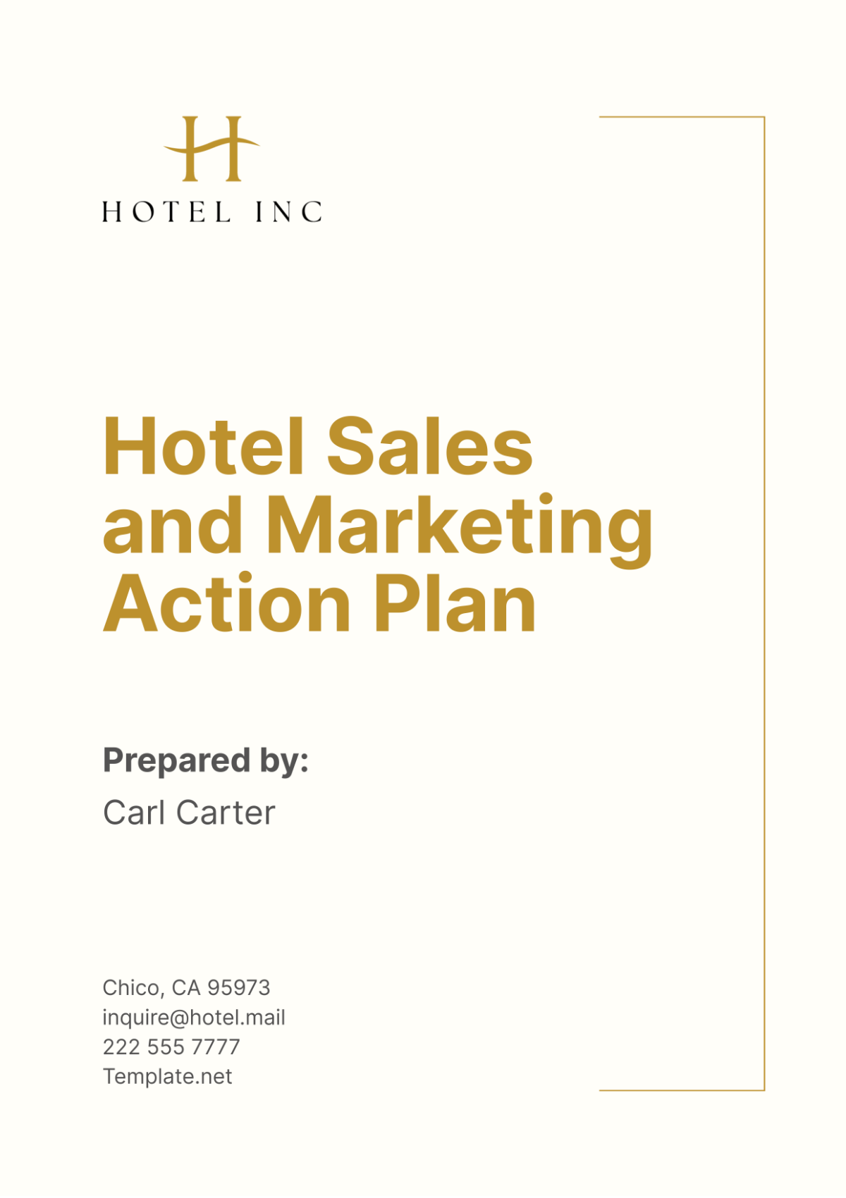 Hotel Sales and Marketing Action Plan Template - Edit Online & Download