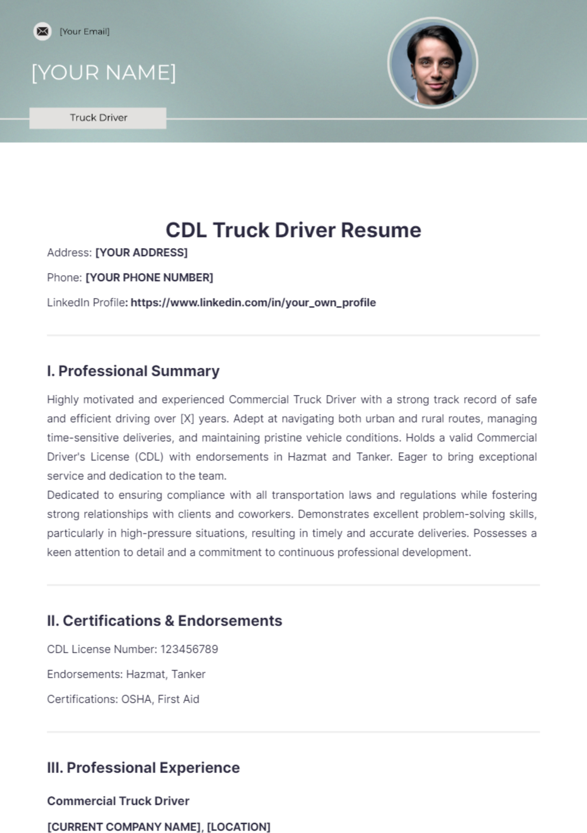 CDL Truck Driver Resume - Edit Online & Download