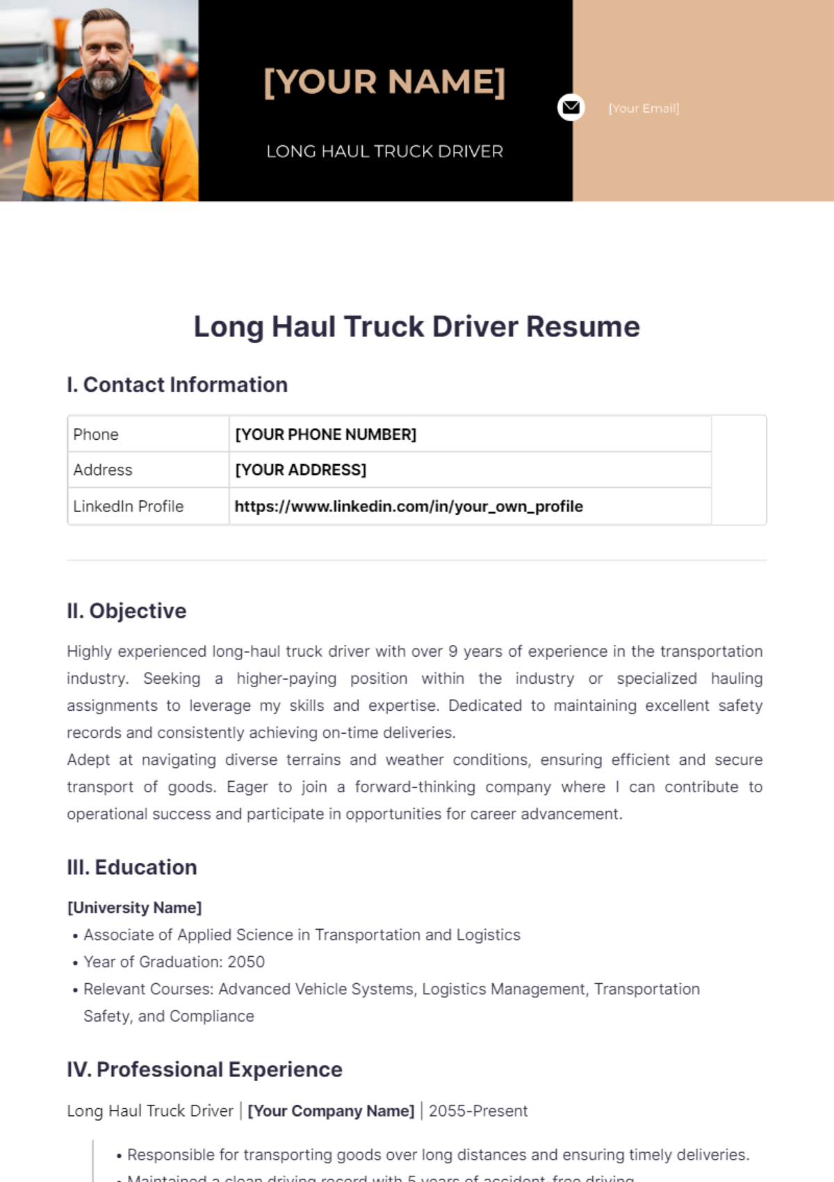 Long Haul Truck Driver Resume - Edit Online & Download