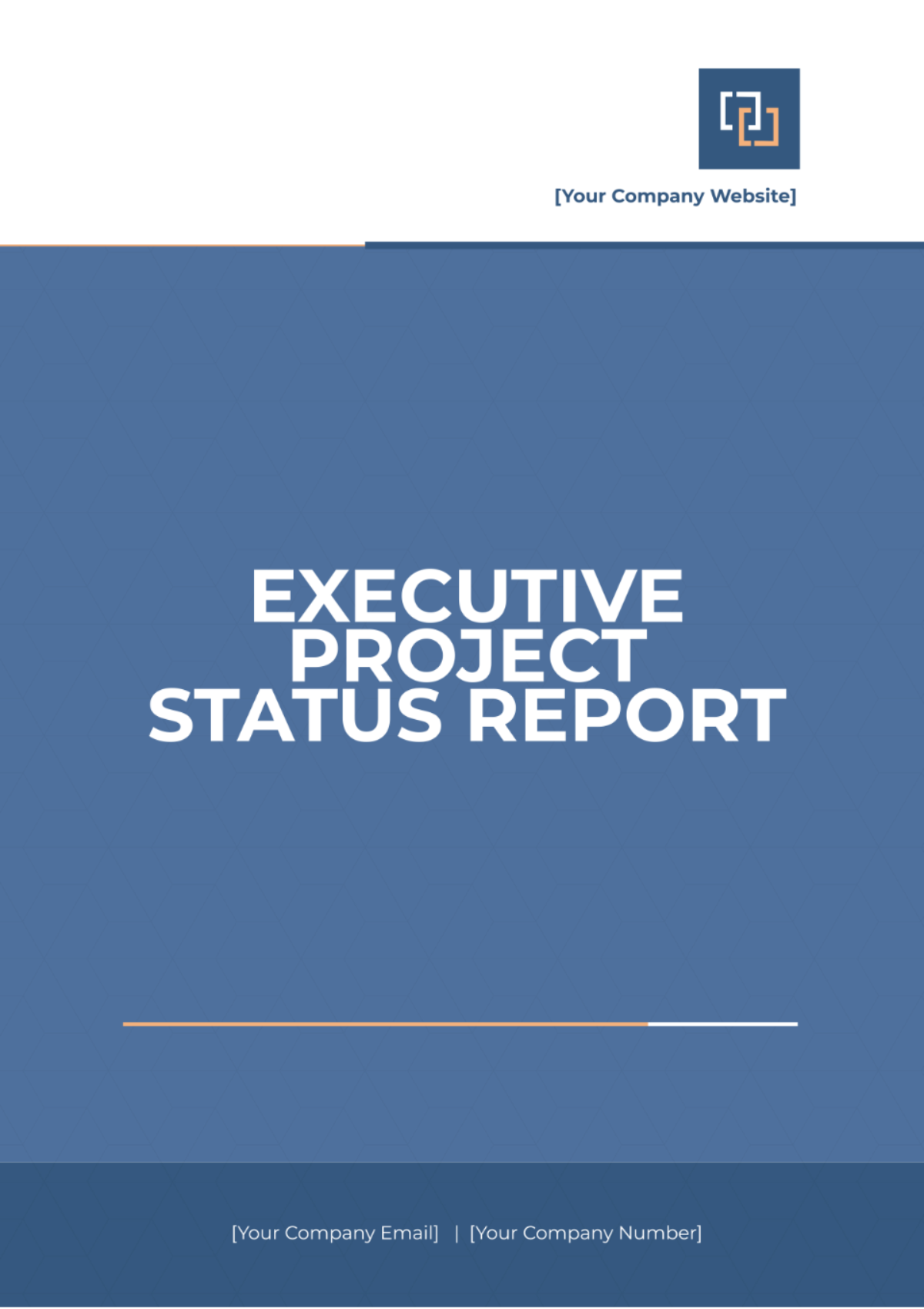 Executive Project Status Report Template