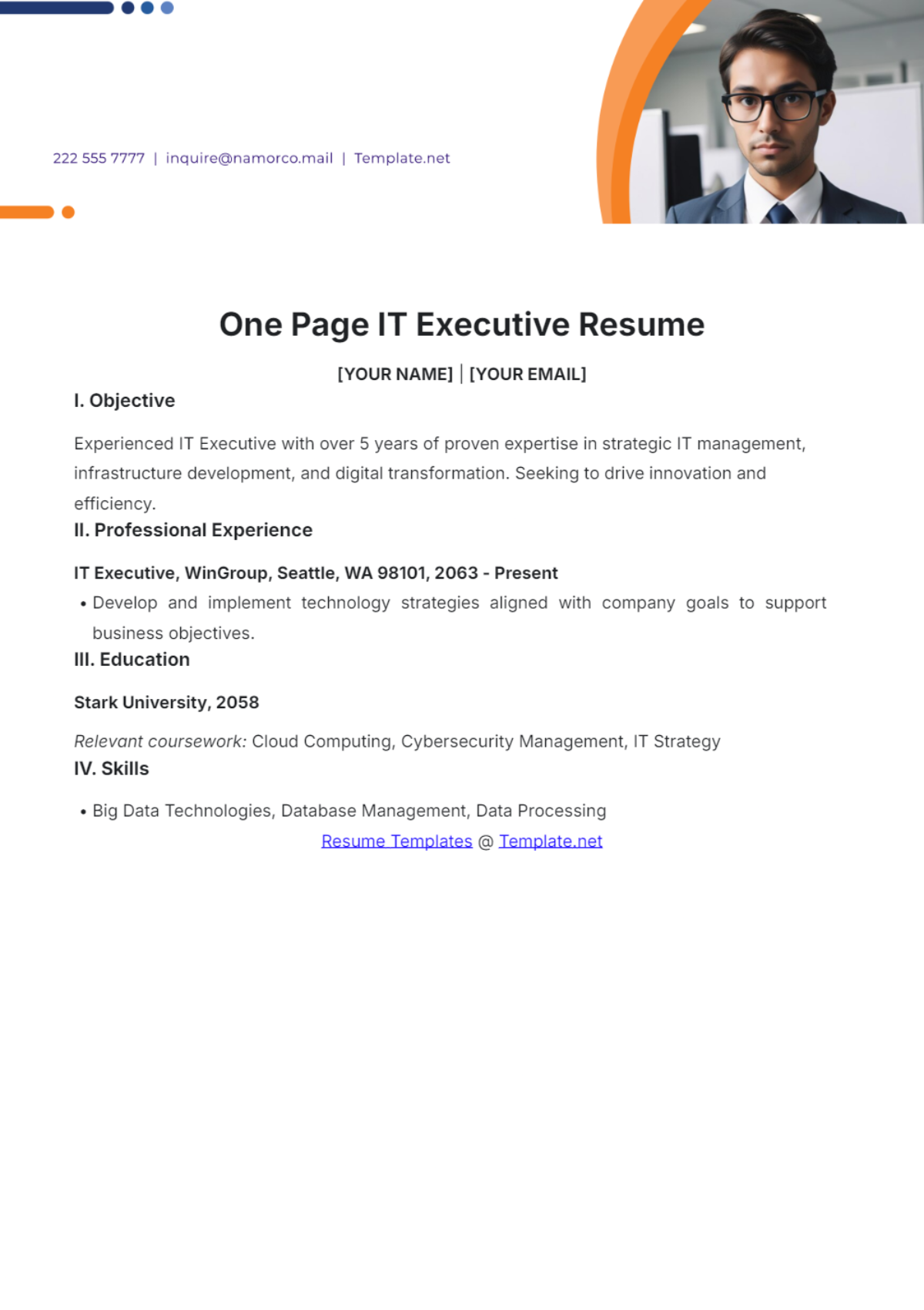 One Page IT Executive Resume - Edit Online & Download