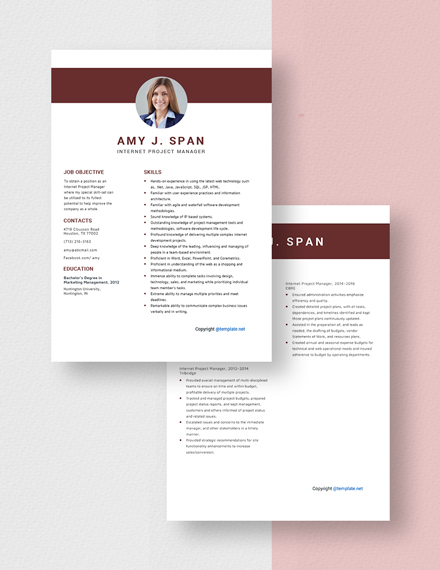 Internet Project Manager Resume Download