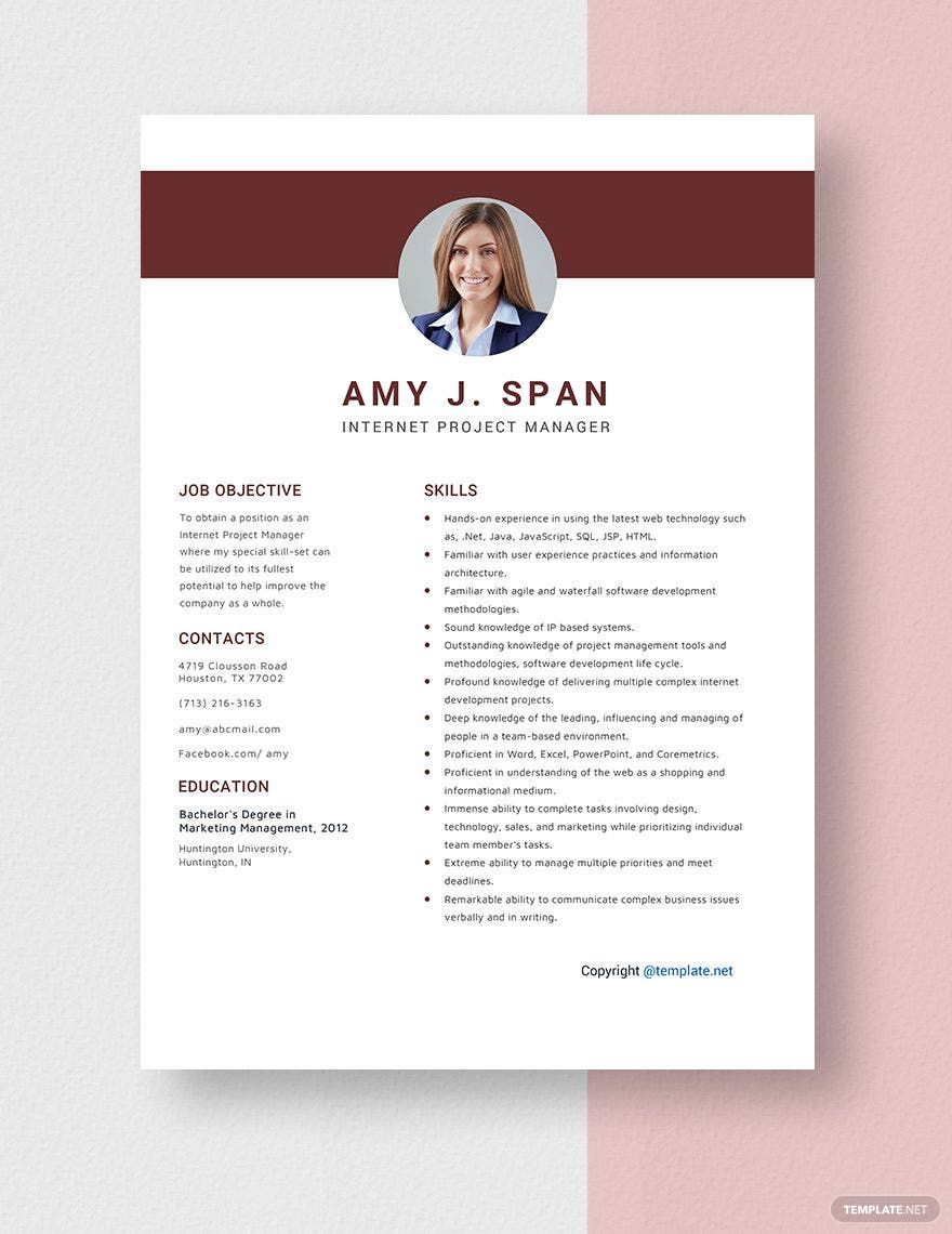 Internet Project Manager Resume