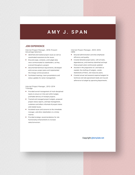 Internet Project Manager Resume Template
