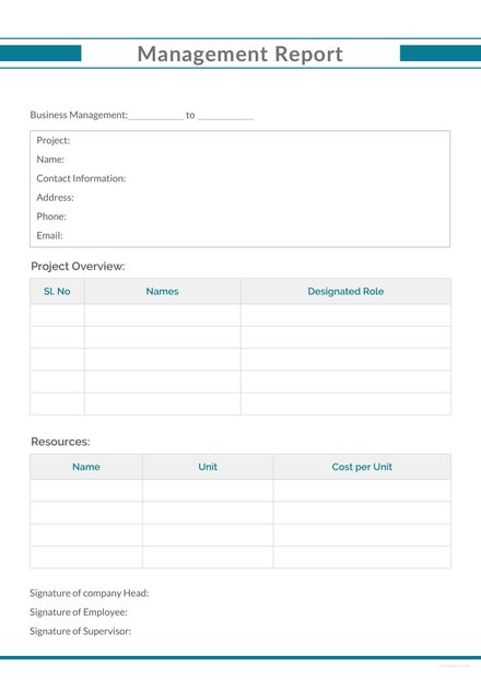 Business Management Report Template | Free Templates