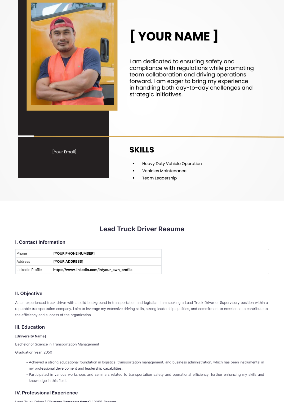 Lead Truck Driver Resume - Edit Online & Download