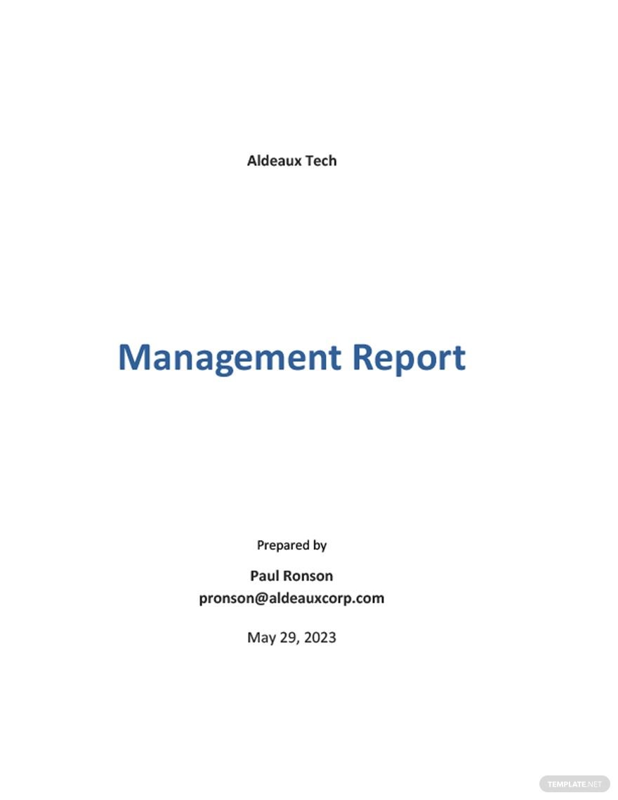 Management Report Sample Template