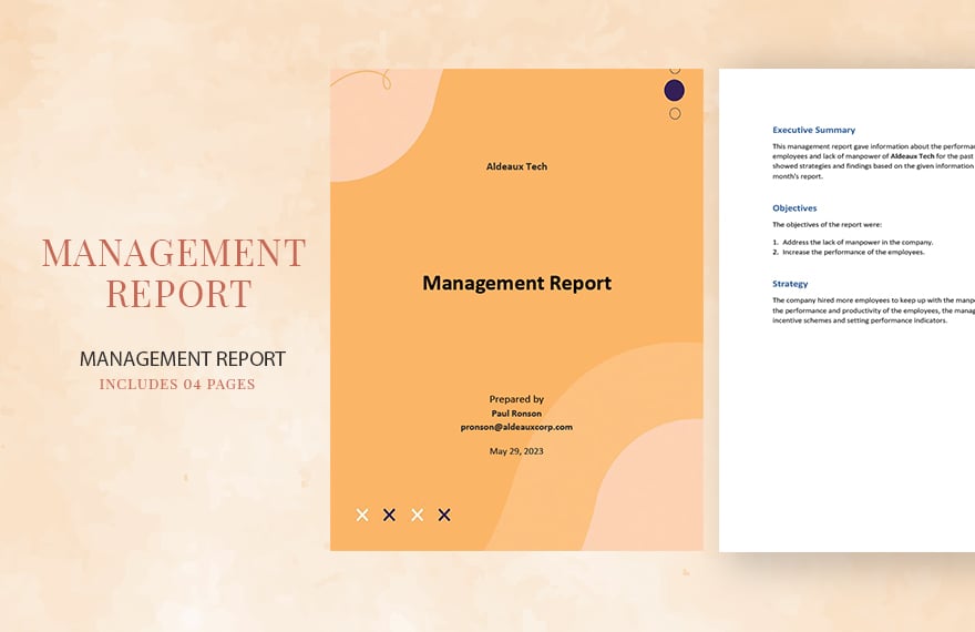 Management Report Sample Template