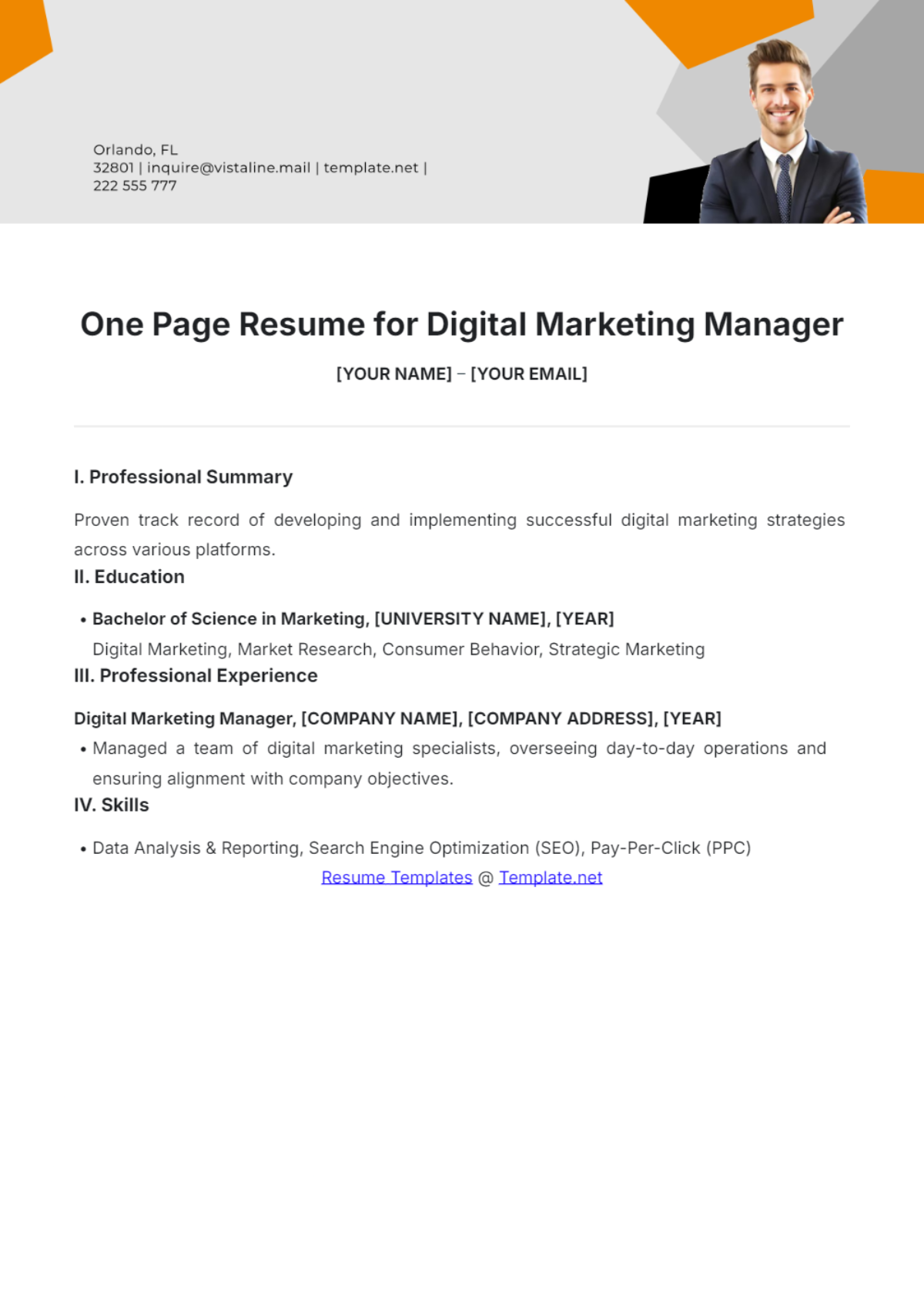 One Page Resume For Digital Marketing Manager - Edit Online & Download