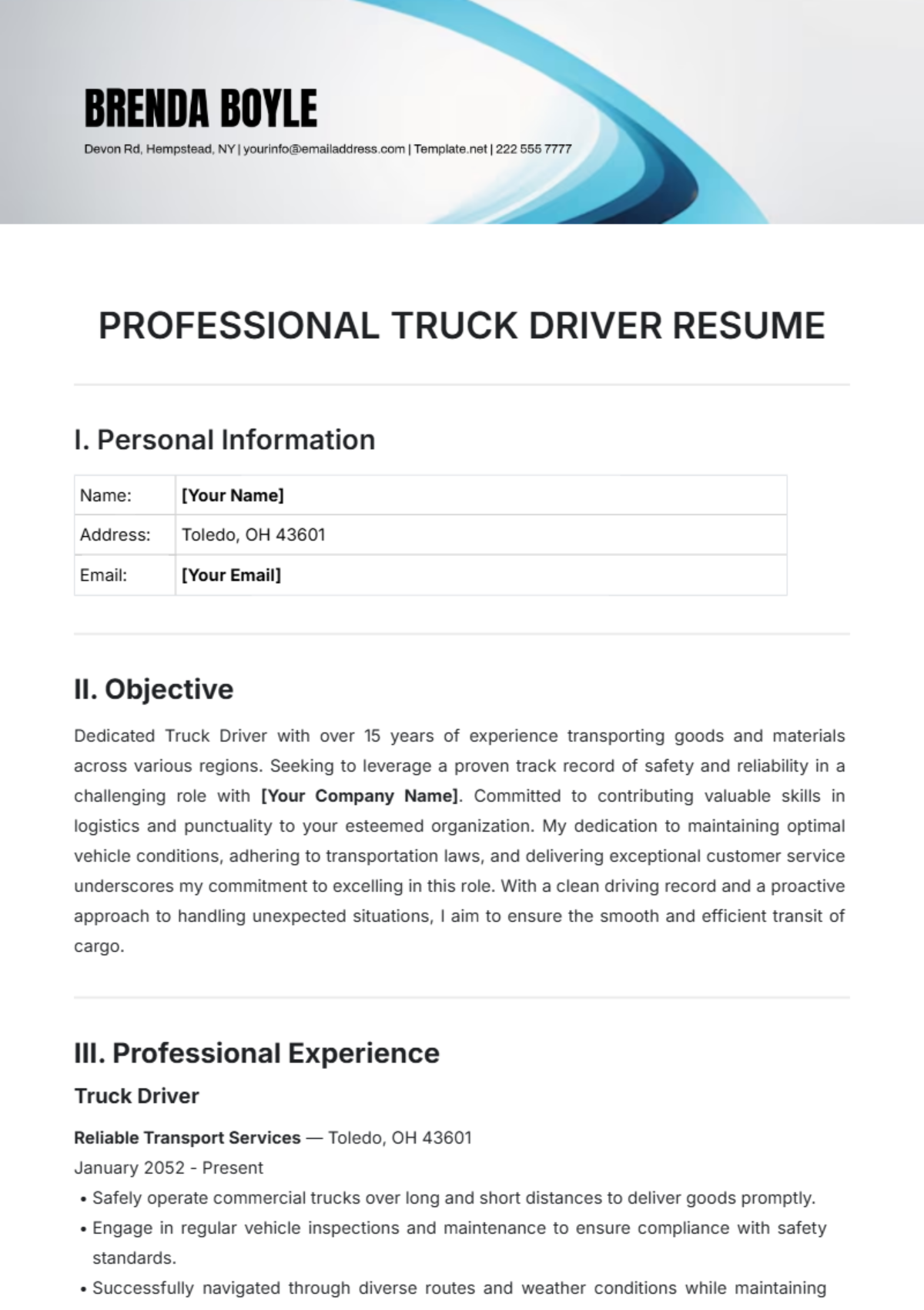 Professional Truck Driver Resume Template - Edit Online & Download