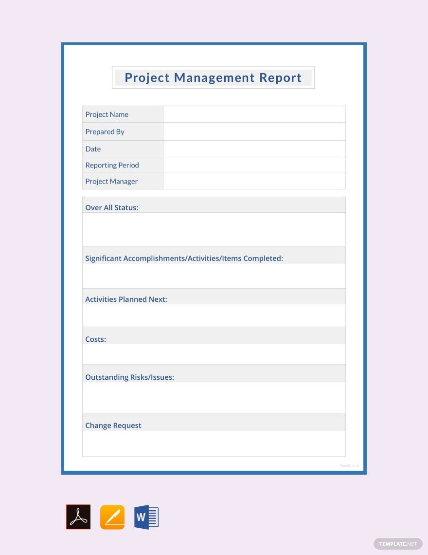 Editable Project Management Report Template