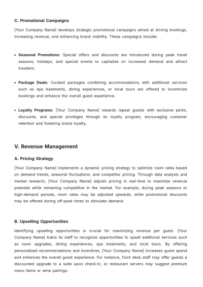 Free Hotel Account Strategy Template to Edit Online
