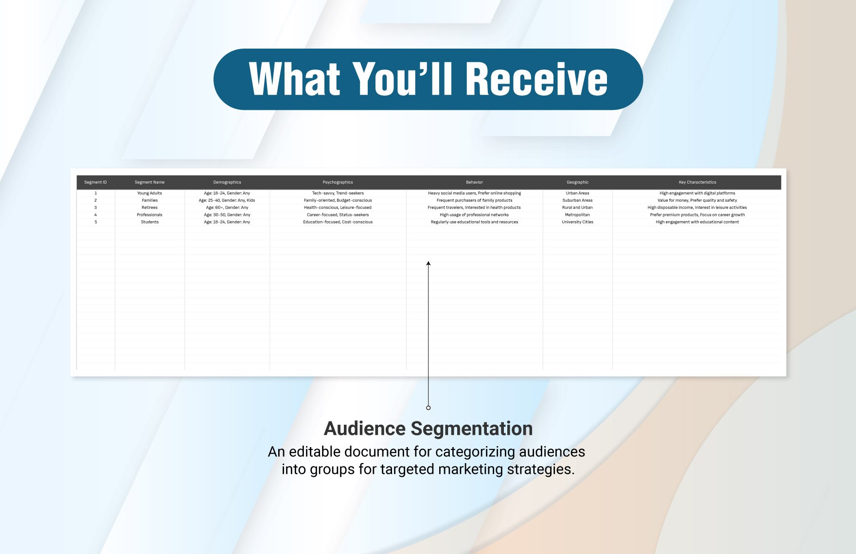 Audience Segmentation Chart Advertising Template
