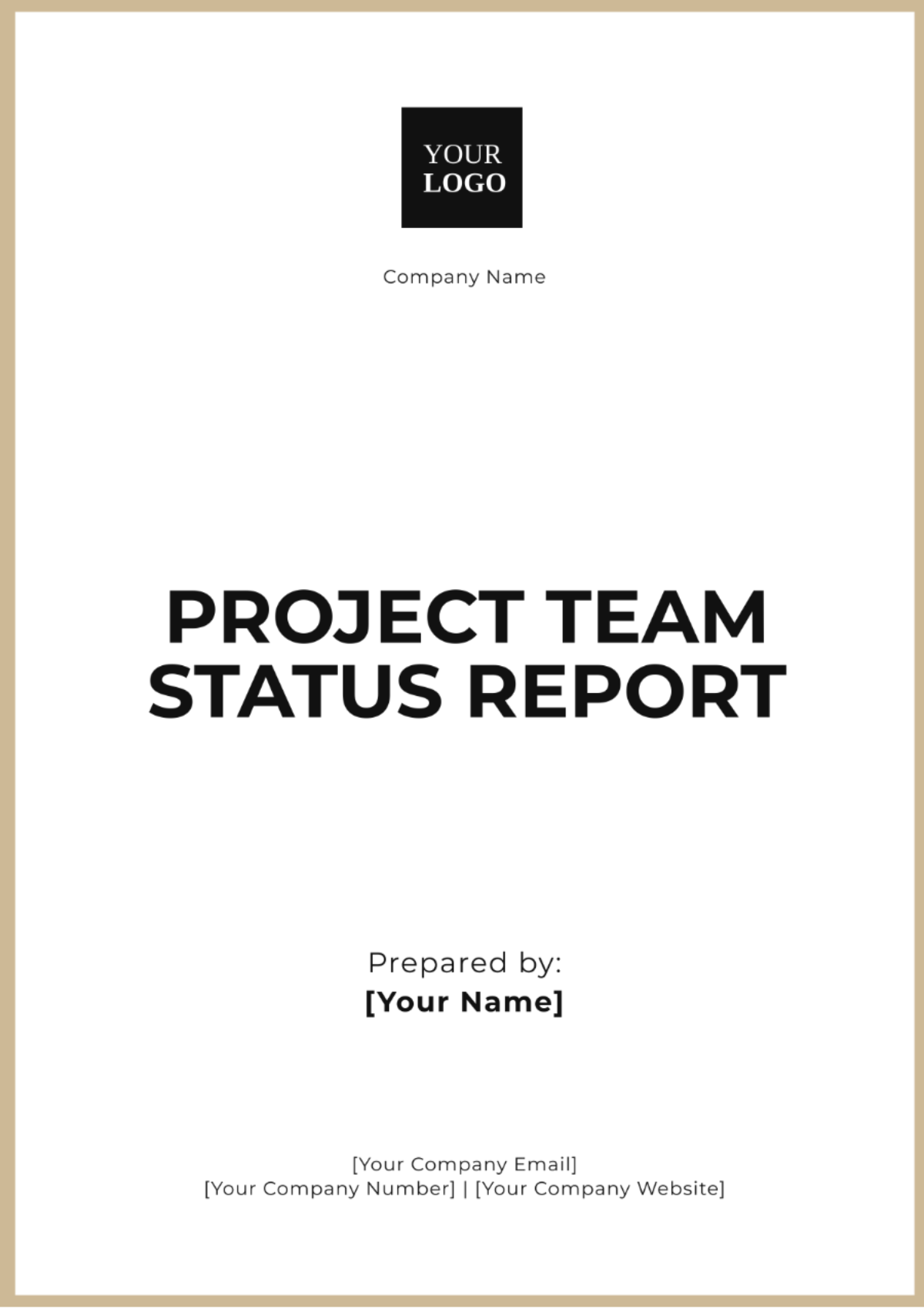 Project Team Status Report Template