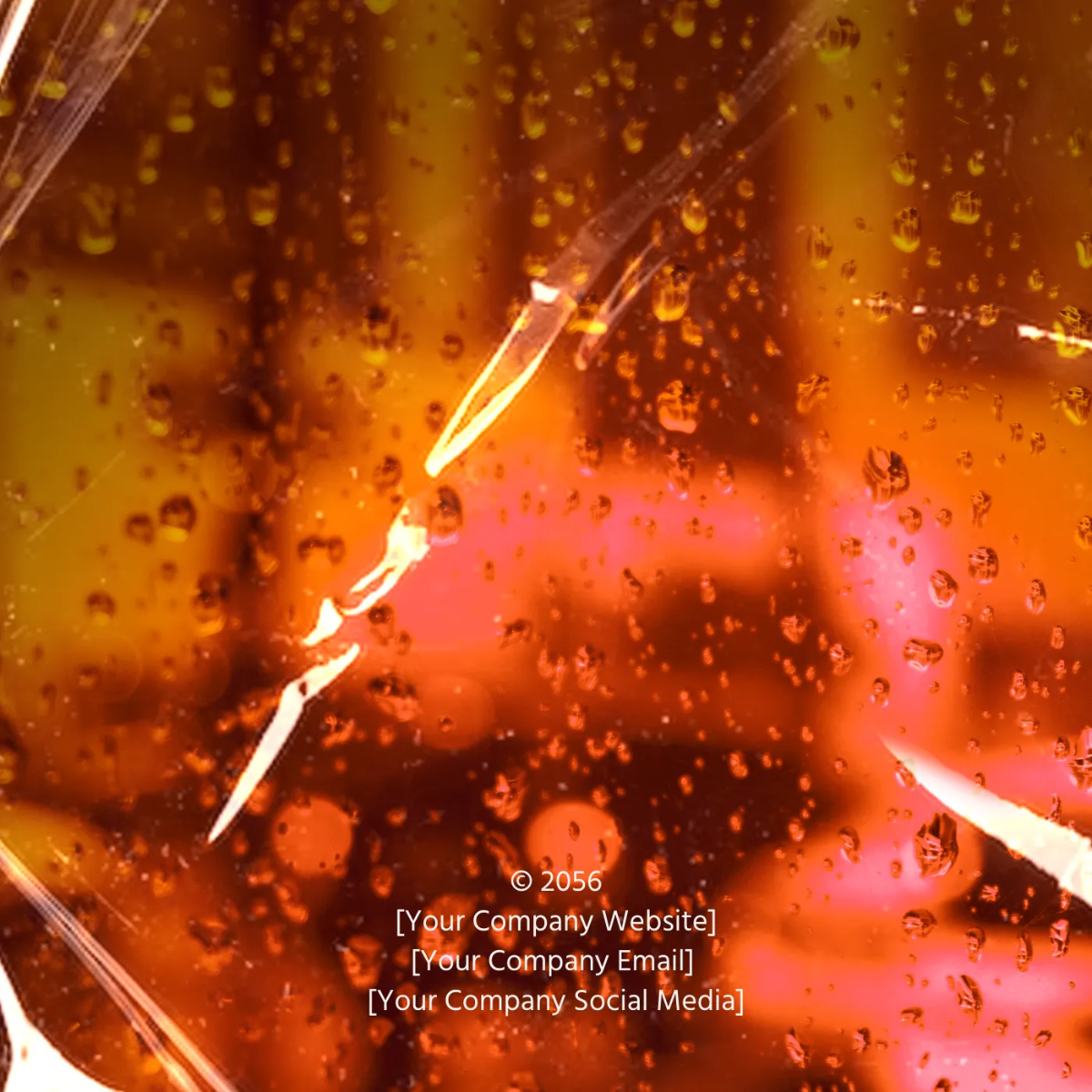 Free Revolve Album Cover Template to Edit Online