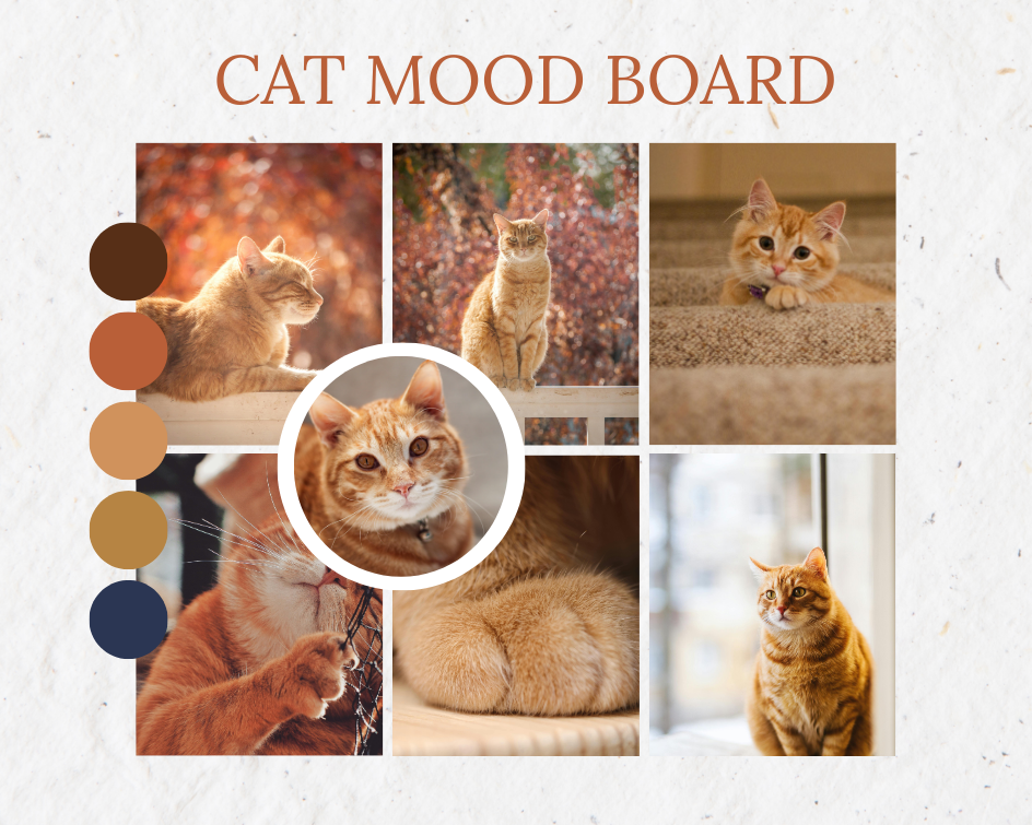 Cat Mood Board