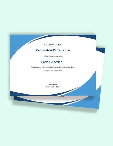 Program Participation Certificate - Google Docs, Word, Publisher